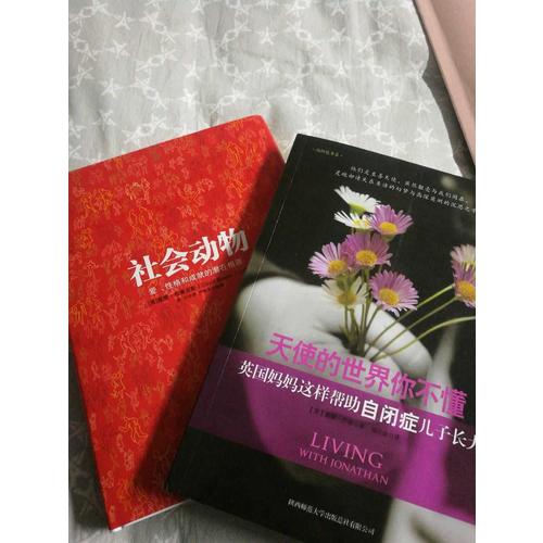 天使的世界你不懂·英國媽媽這樣幫助自閉癥兒子長大