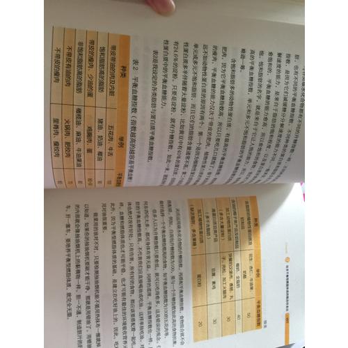 燃脂力：給你最核心的瘦身力