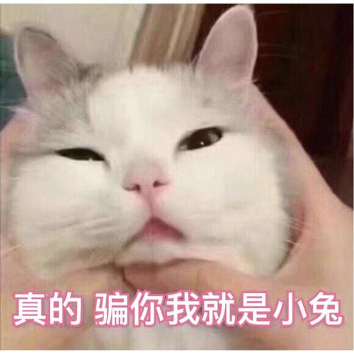一個人的美食之旅