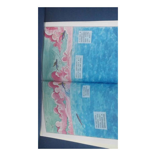 海洋館里看不到的：海洋動物世界