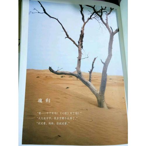 目送