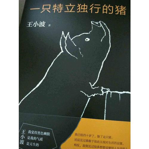 一只特立獨行的豬