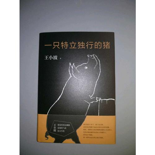 一只特立獨行的豬