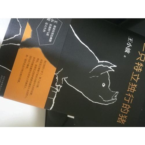 一只特立獨行的豬