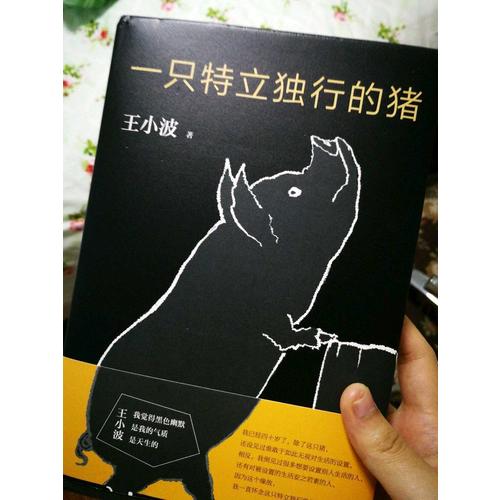 一只特立獨行的豬