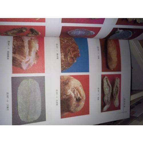 焦樹德方藥心得（焦樹德醫學全書）