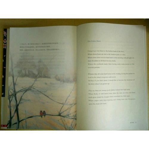 生如夏花：泰戈?duì)柦?jīng)典詩選(全彩插圖雙語珍藏版)