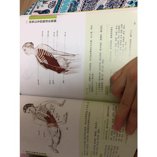 酸痛拉筋解剖書