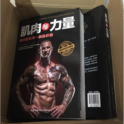 肌肉與力量：精準鍛煉每一條肌纖維