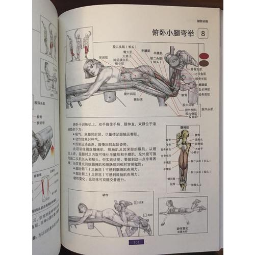 肌肉健美訓練圖解（近期版）