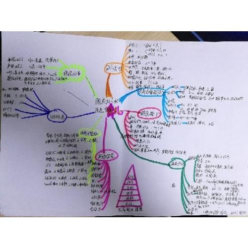 跟美國兒科醫生學育兒