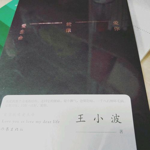 愛你就像愛生命