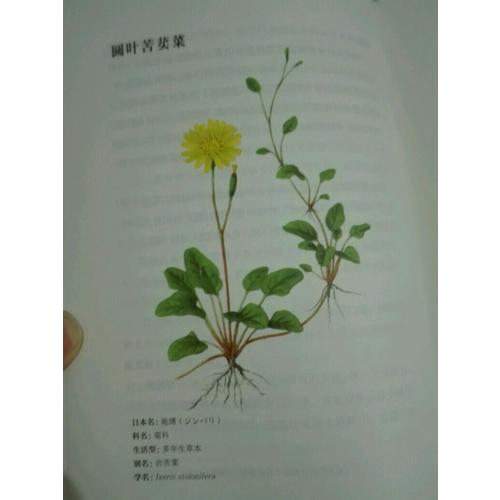 雜草記（全2冊(cè)）