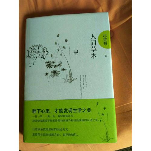 人間草木·汪曾祺典藏文集
