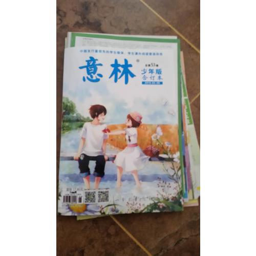 意林少年版合訂本2015年04-06（總第五十三卷）