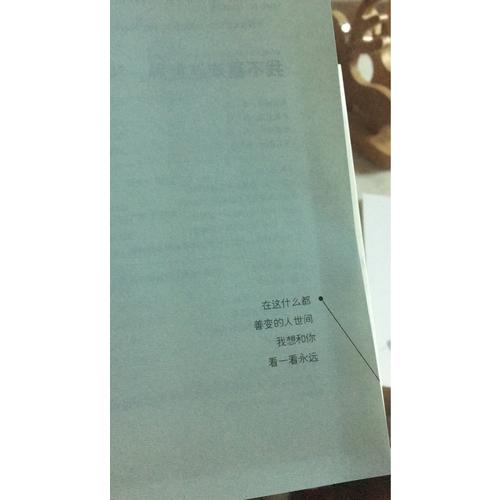 我不喜歡這世界,我只喜歡你