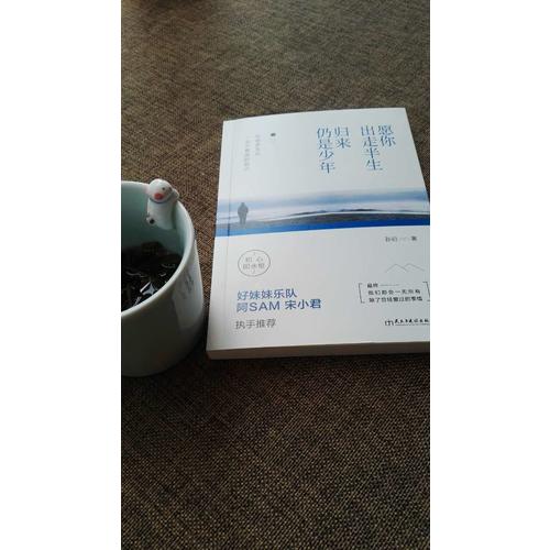 愿你出走半生，歸來仍是少年