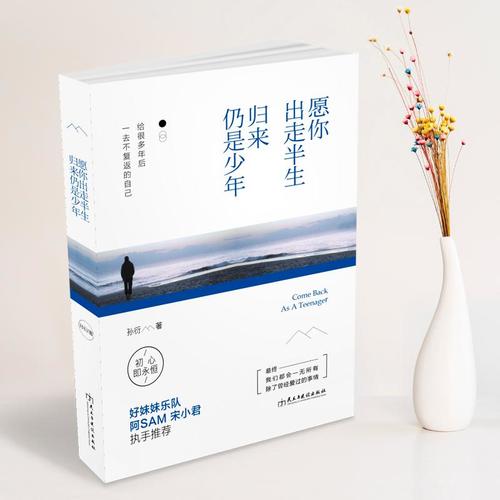愿你出走半生，歸來仍是少年