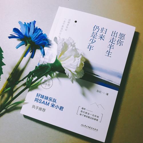 愿你出走半生，歸來仍是少年