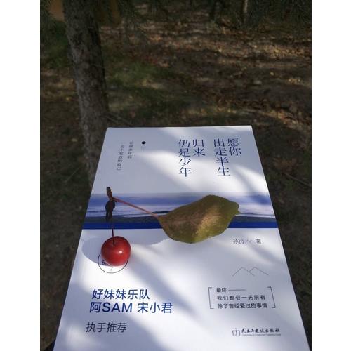 愿你出走半生，歸來仍是少年