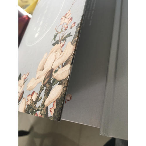 羅素傳：孤獨的精神 1872—1921