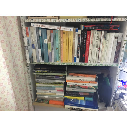 伊凡諾夫·海鷗（契訶夫戲劇全集）