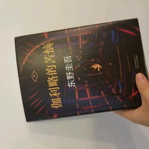 伽利略的苦惱：《嫌疑人X的獻身》之后的故事
