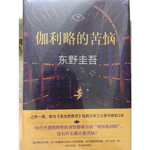 伽利略的苦惱：《嫌疑人X的獻身》之后的故事