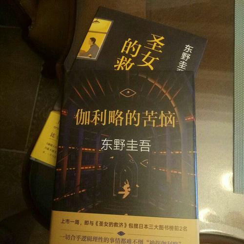 伽利略的苦惱：《嫌疑人X的獻身》之后的故事