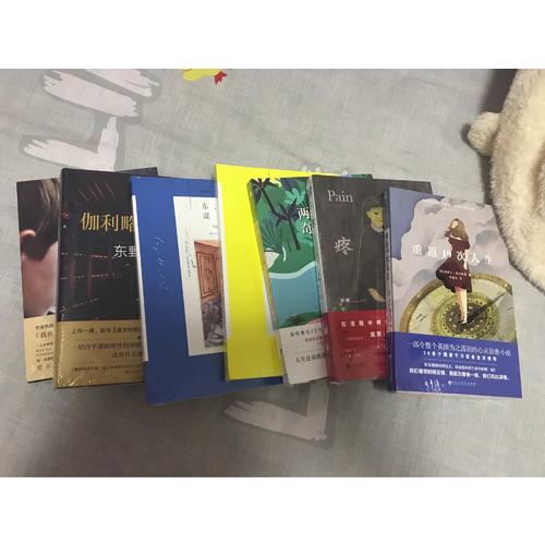 伽利略的苦惱：《嫌疑人X的獻身》之后的故事