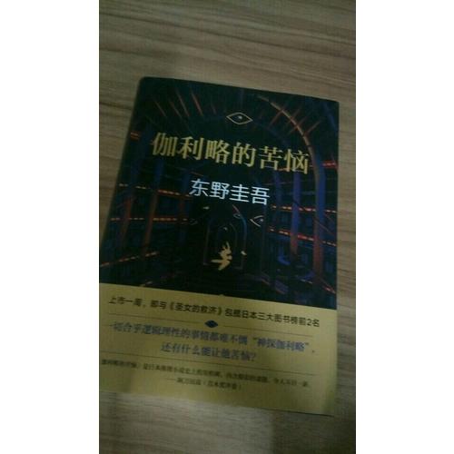 伽利略的苦惱：《嫌疑人X的獻身》之后的故事