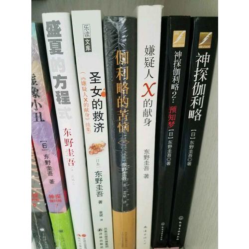 伽利略的苦惱：《嫌疑人X的獻身》之后的故事