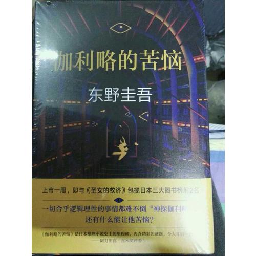 伽利略的苦惱：《嫌疑人X的獻身》之后的故事