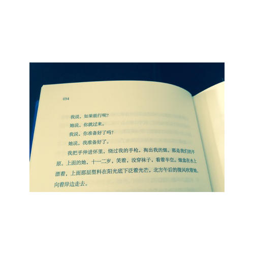 平原上的摩西