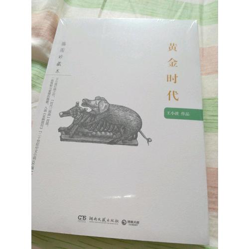 黃金時代：王小波作品（插圖珍藏本）