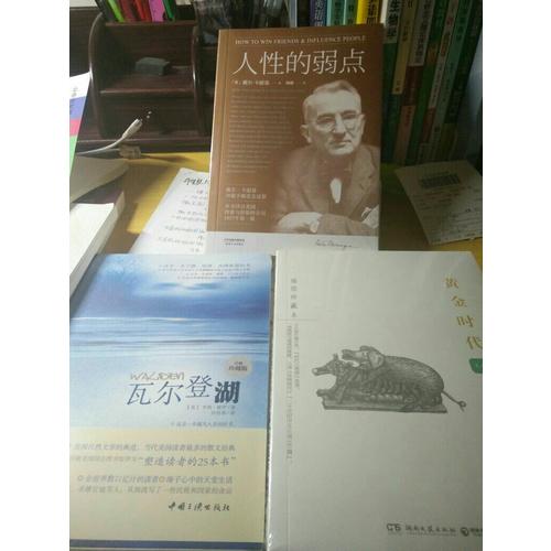 黃金時代：王小波作品（插圖珍藏本）