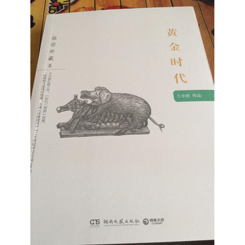 黃金時代：王小波作品（插圖珍藏本）