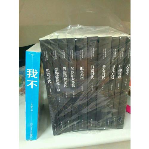 王小波全集（全10冊）
