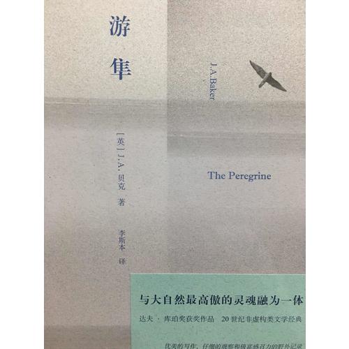 游隼