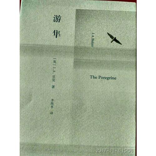 游隼