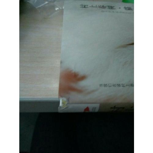 村上春樹·貓