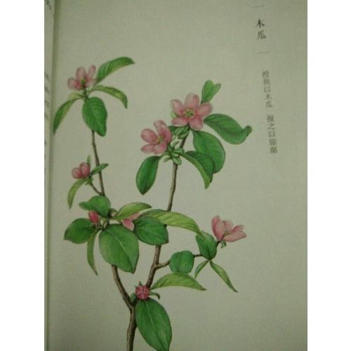 桃之夭夭——花影間的曼妙旅程