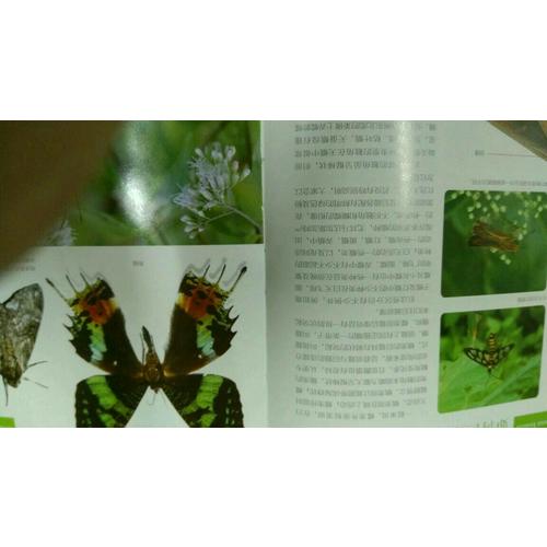 昆蟲Q&A