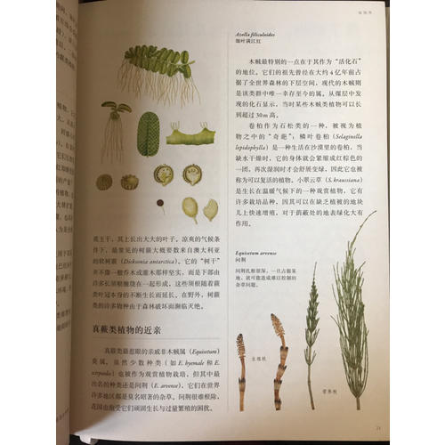 英國皇家園藝學會植物學指南