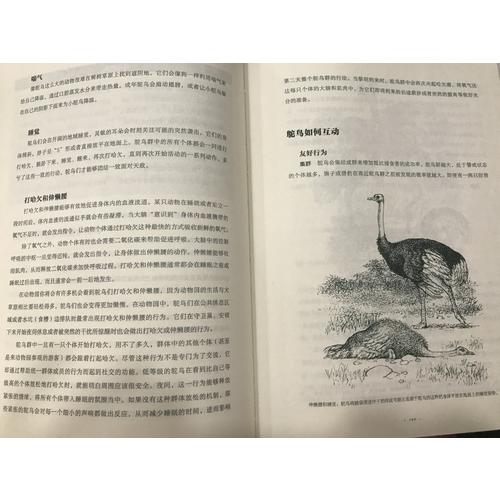 動物的秘密語言