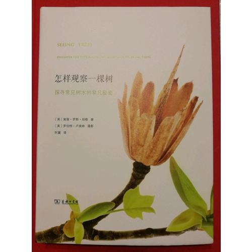 怎樣觀察一棵樹