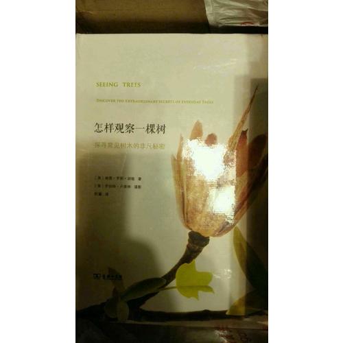 怎樣觀察一棵樹