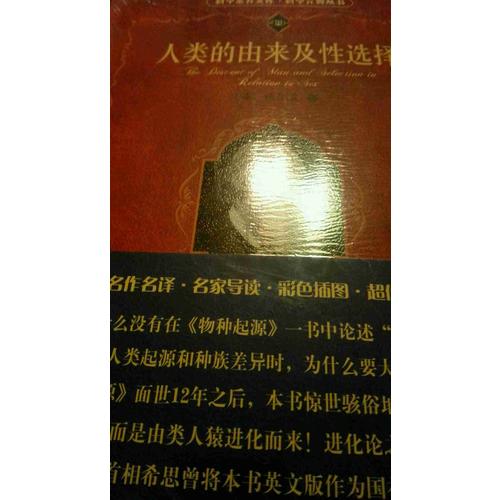 人類的由來及性選擇