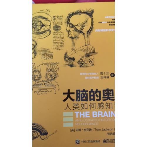 大腦的奧秘：人類如何感知世界