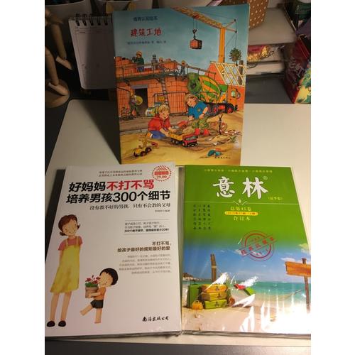 超值暢銷-好媽媽不打不罵培養男孩300個細節